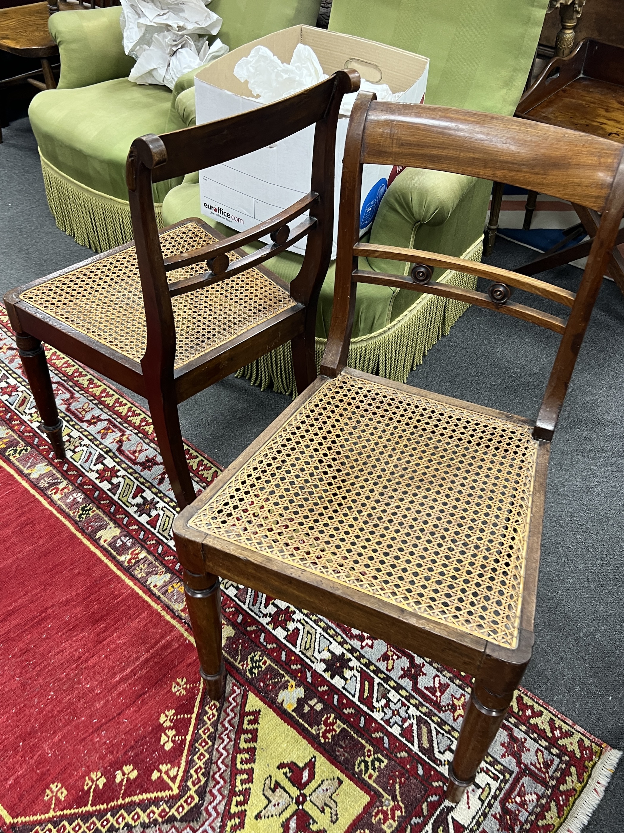 A set of six Regency style mahogany cane seat dining chairs and two later matching elbow chairs with arms